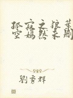 孤寂之狼叶凡司空嫣然未删减txt下载