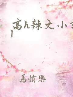 高h辣文小说bl 高h辣文小说bl
