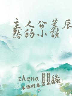 主人公叶辰萧初然的小说