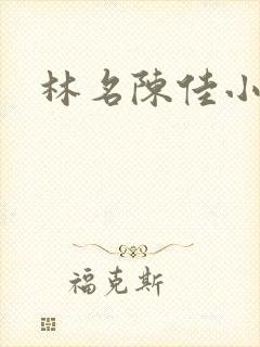林名陈佳小说
