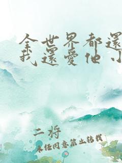 全世界都还以为我还爱他 小说