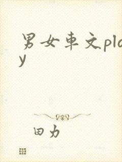 男女车文play