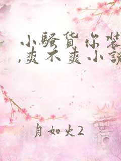 小骚货你装什么,爽不爽小说