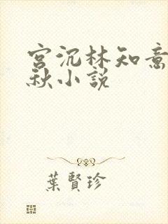 宫沉林知意宋婉秋小说