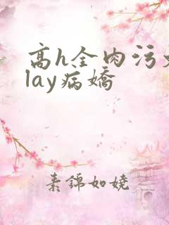 高h全肉污文play病娇