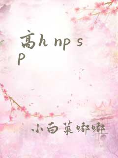 高h np sp