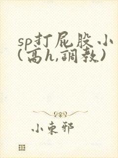 sp打屁股小说(高h,调教)