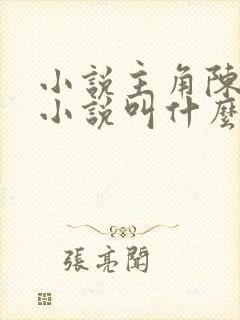 小说主角陈平的小说叫什么