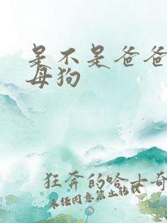 是不是爸爸的小母狗