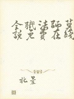 全职法师莫凡小说免费在线阅读完整版