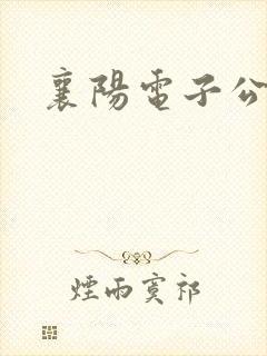 襄阳电子公交卡