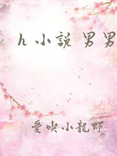h 小说 男男
