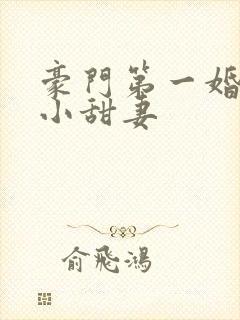豪门第一婚吻安小甜妻