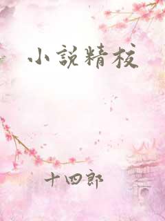小说精校
