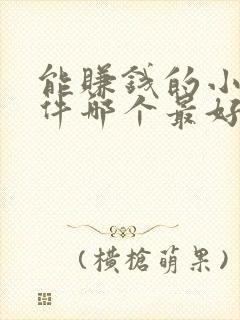 能赚钱的小说软件哪个最好