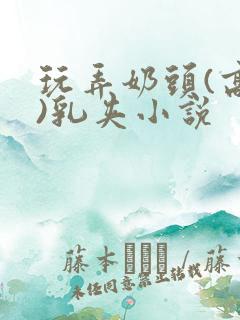 玩弄奶头(高h)乳夹小说