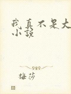 我真不是大佬的小说