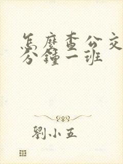 怎么查公交车几分钟一班
