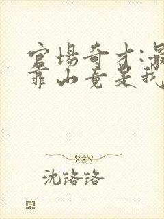 官场奇才:最强靠山竟是我自己李澜小说免