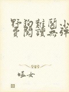 野狗难哄小说免费阅读无弹窗全文
