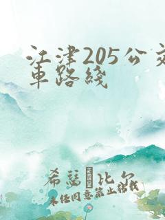 江津205公交车路线
