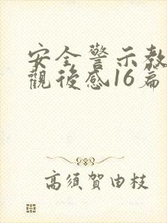 安全警示教育片观后感16篇