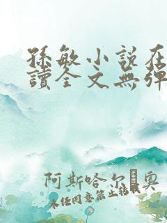 孙敏小说在线阅读全文无弹窗
