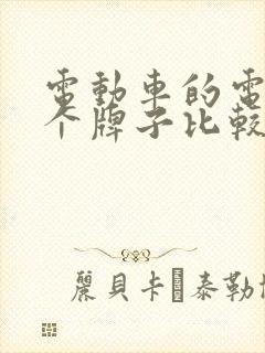 电动车的电池哪个牌子比较好