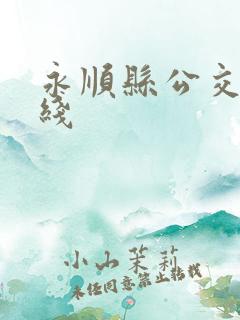 永顺县公交车路线 永顺县公交车路线