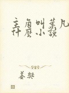 主角叫叶凡的是什么小说