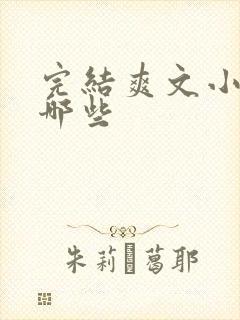 完结爽文小说有哪些