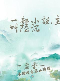 一部小说,主角叫陆沉