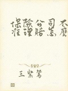 保险公司不按标准理赔怎么办