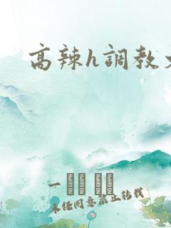 高辣h调教文