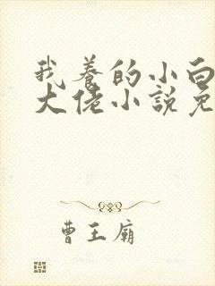我养的小白脸是大佬小说免费阅读