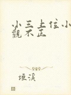 小三上位小说三观不正