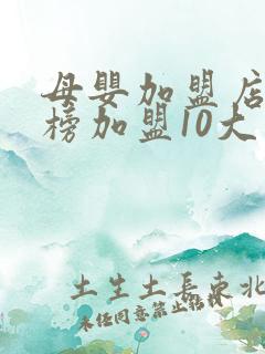 母婴加盟店排行榜加盟10大品牌