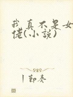 我真不是女装大佬(小说) 我真不是女装大佬(小说)