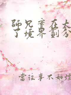 师兄实在太稳健了境界划分