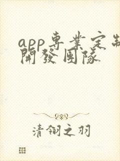 app专业定制开发团队