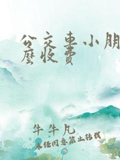 公交车小朋友怎么收费