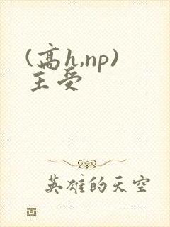 (高h,np)主受