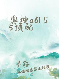 奥迪a6l 55顶配