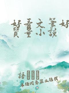 好看文笔好的高质量小说 好看文笔好的高质量小说