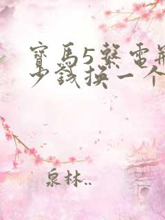 宝马5系电瓶多少钱换一个