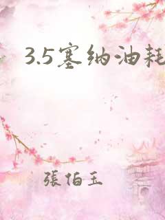 3.5塞纳油耗