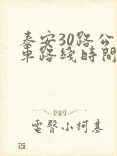 泰安30路公交车路线时间表 泰安30路公交车路线时间表