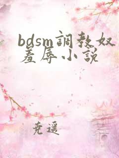 bdsm调教奴羞辱小说