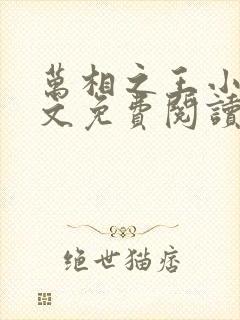 万相之王小说全文免费阅读笔趣阁