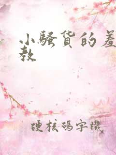 小骚货的羞辱调教